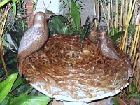 photos 2000-200902593